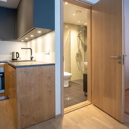 Apartmán Dream Design Near Taltech University